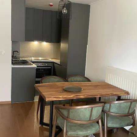 Apartment 102 I 103 Zlatibor